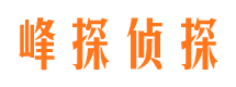 义县市婚外情调查